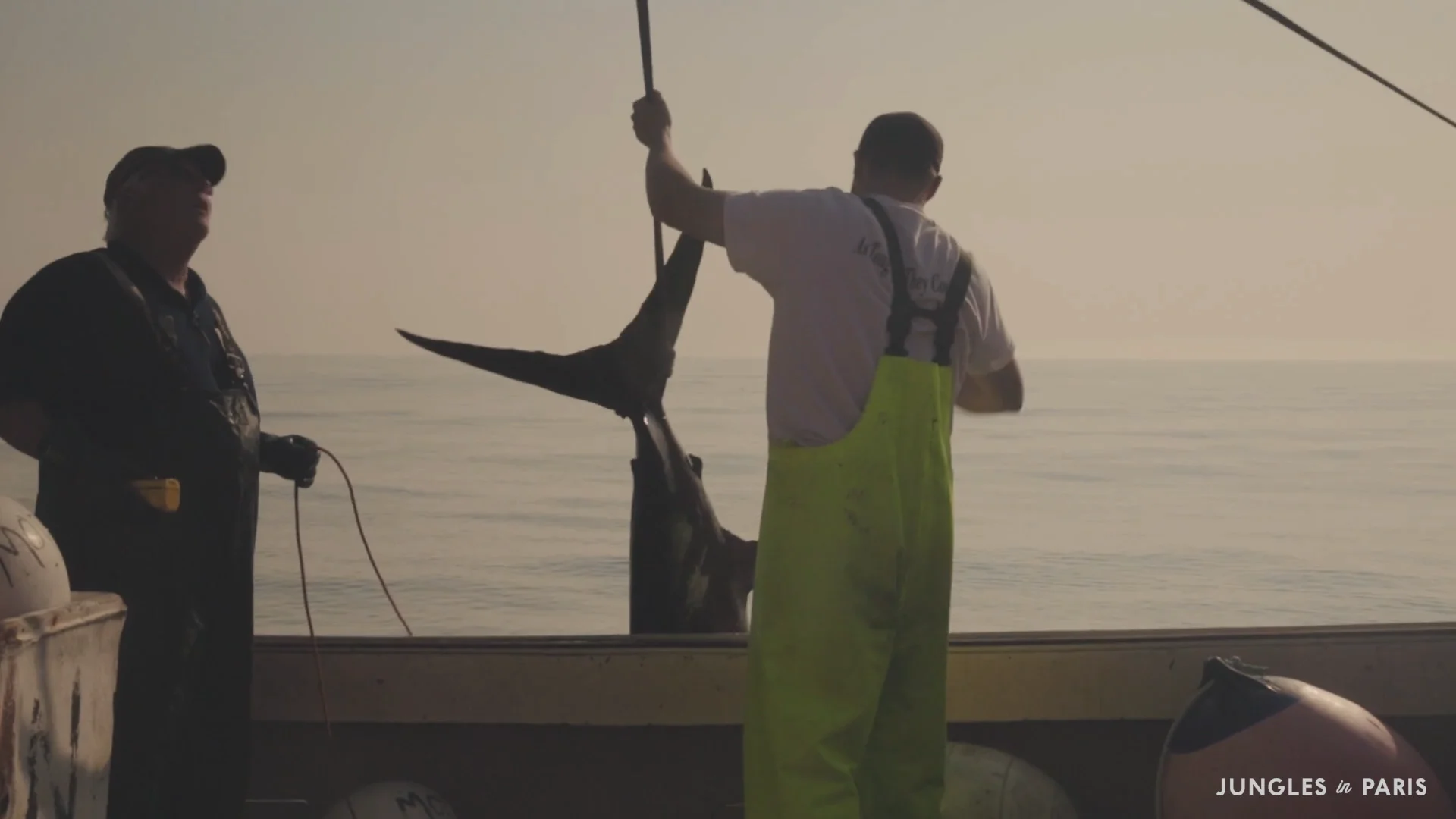 Harpoon Swordfishing (Nova Scotia, Canada) on Vimeo