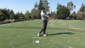 Visualizing Arm Extension - Timing & Direction