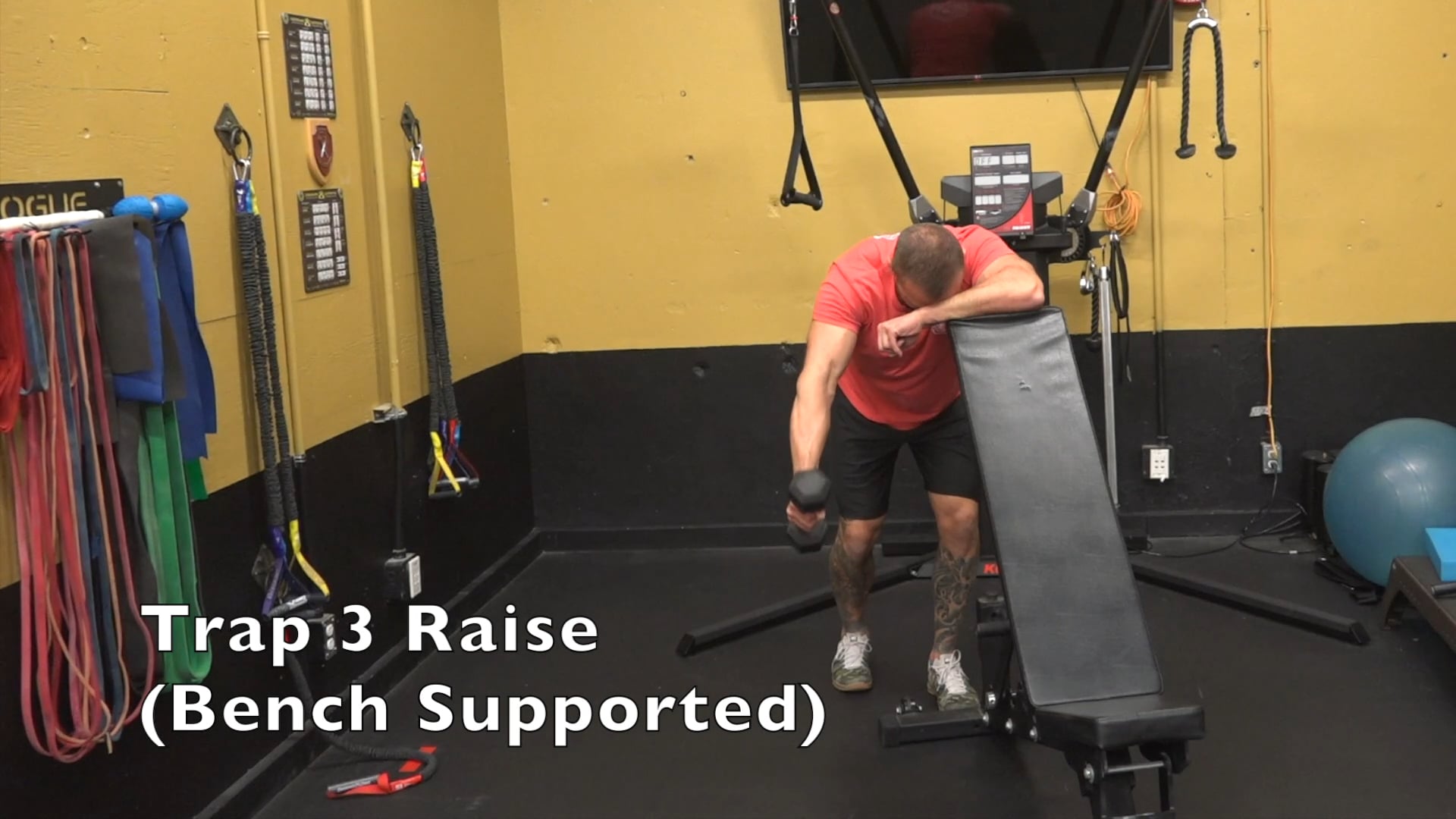 trap-3-raise-bench-supported-on-vimeo