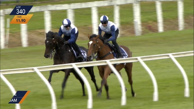 Lot 340