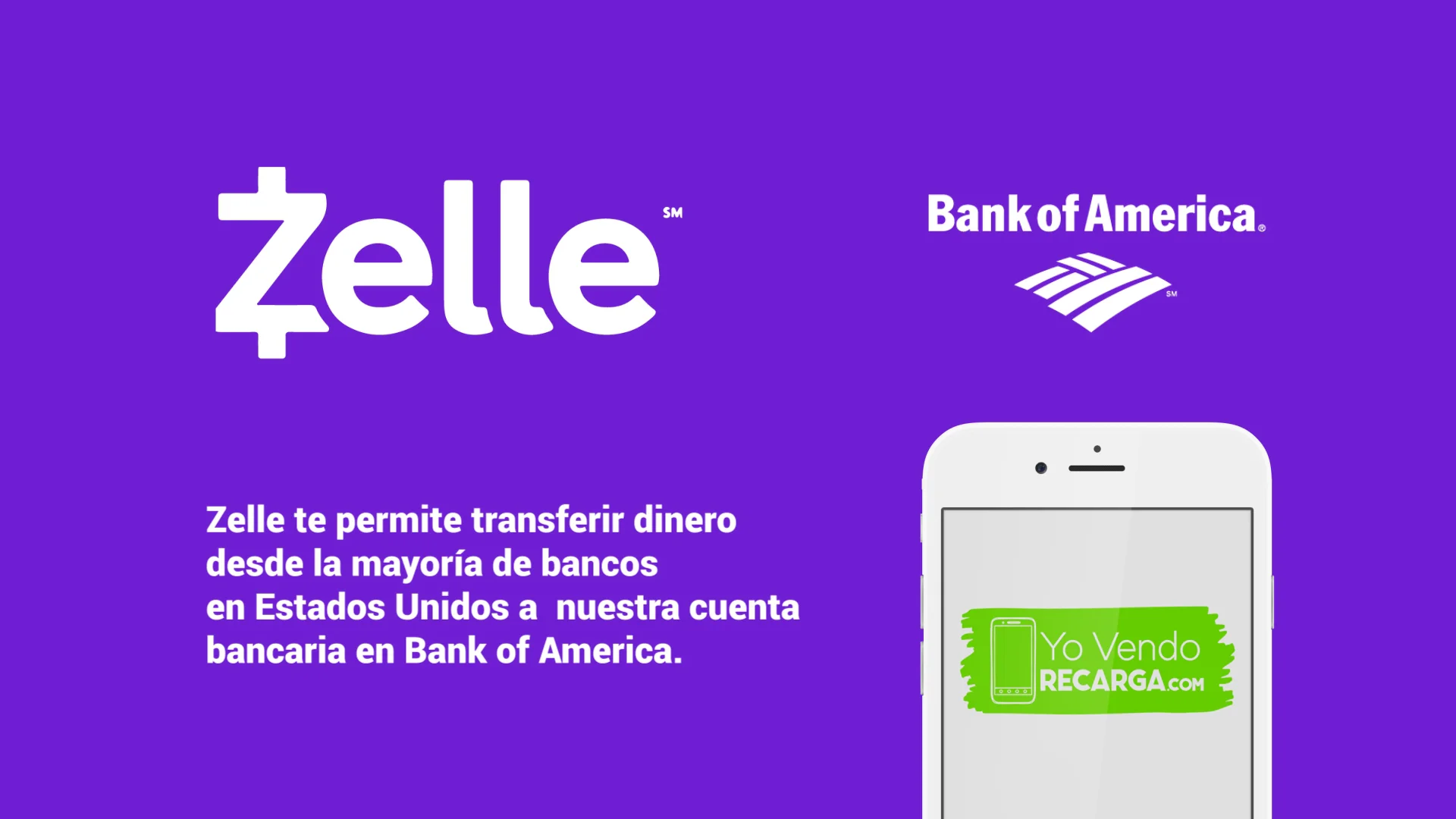Zelle Tutorial - Motion graphics on Vimeo