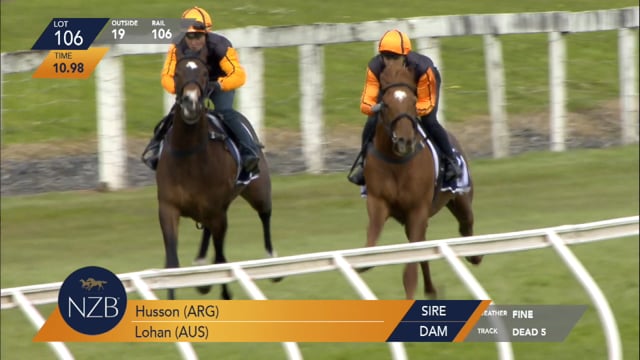 Lot 106