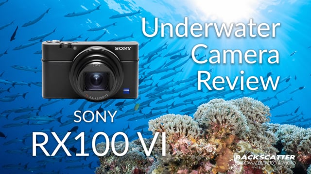 Sony RX100 VI Underwater Camera Review