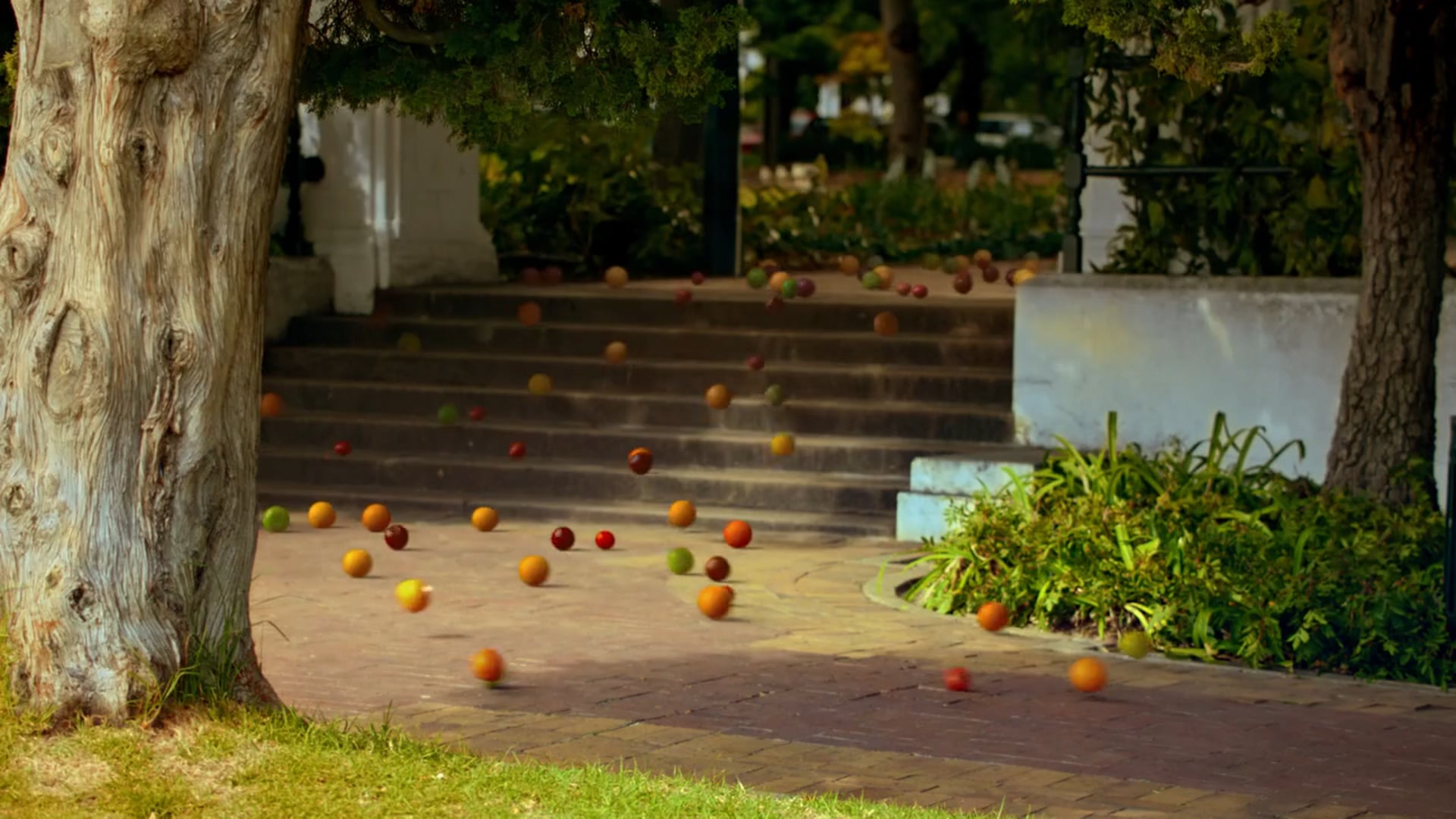 Paulo Henriques Migros Supermarket Fruits