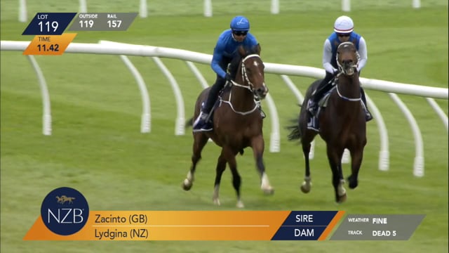 Lot 119