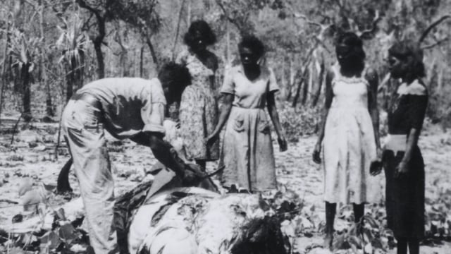 Ayal Aboriginal Tours Kakadu