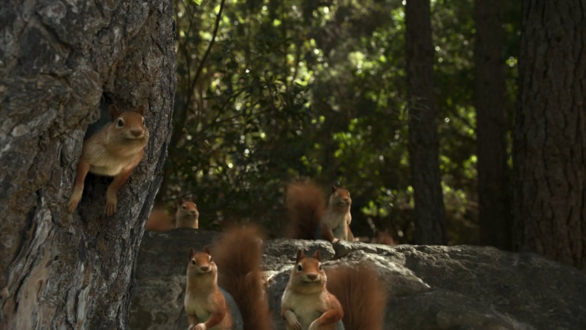 Paulo Henriques CGI / Animation Director