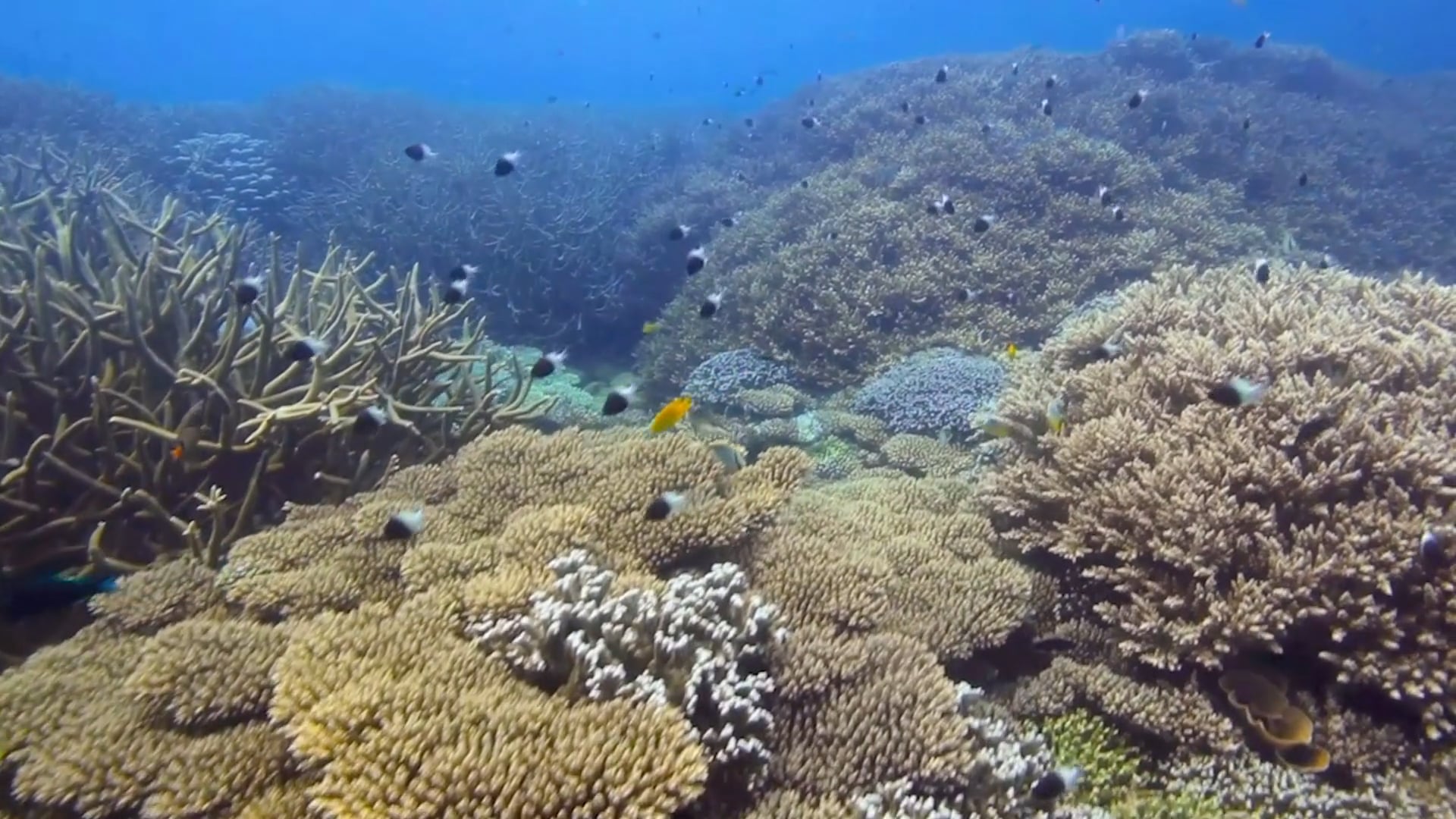 In It For The Long Run