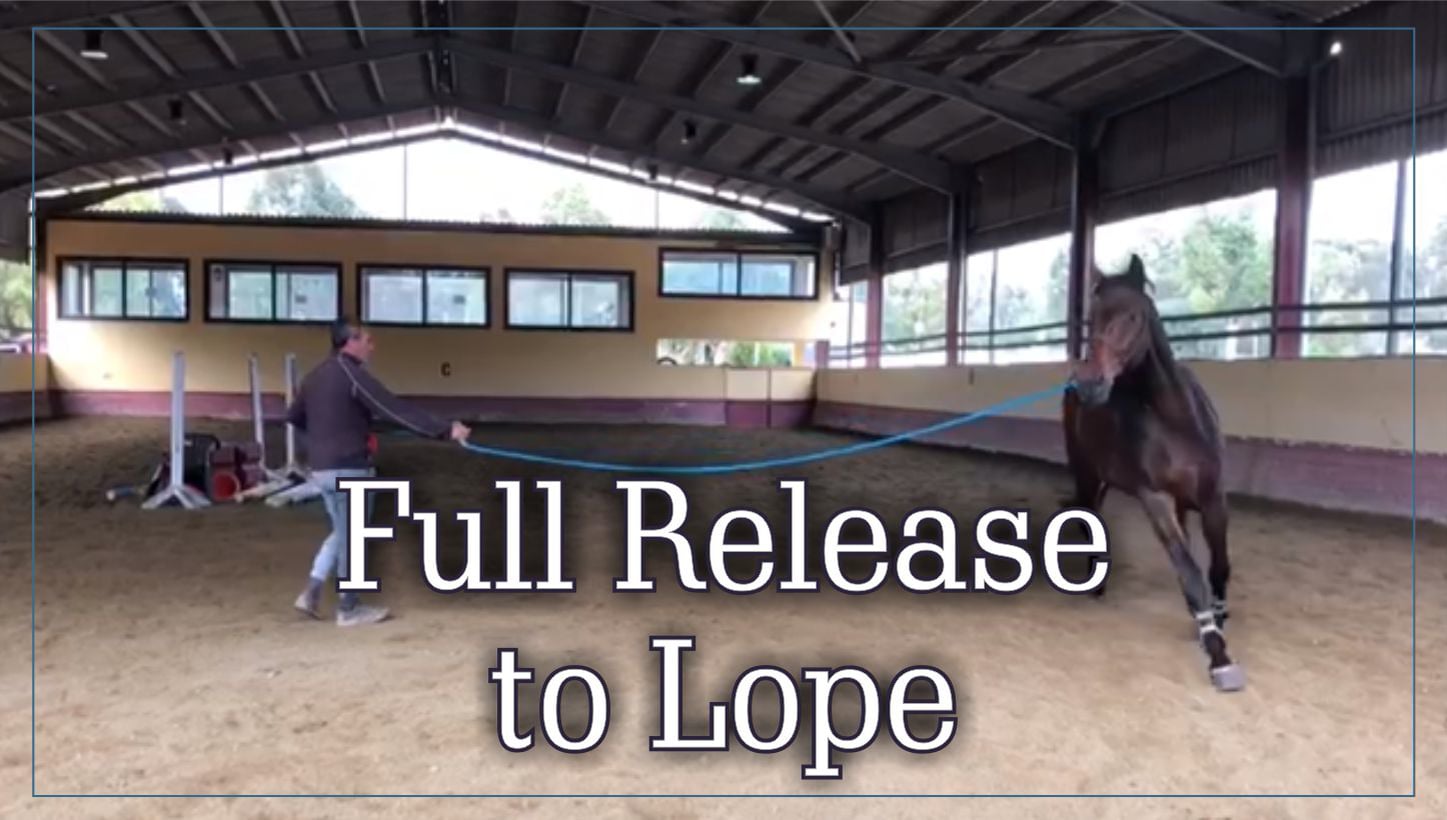 Full Release to Lope