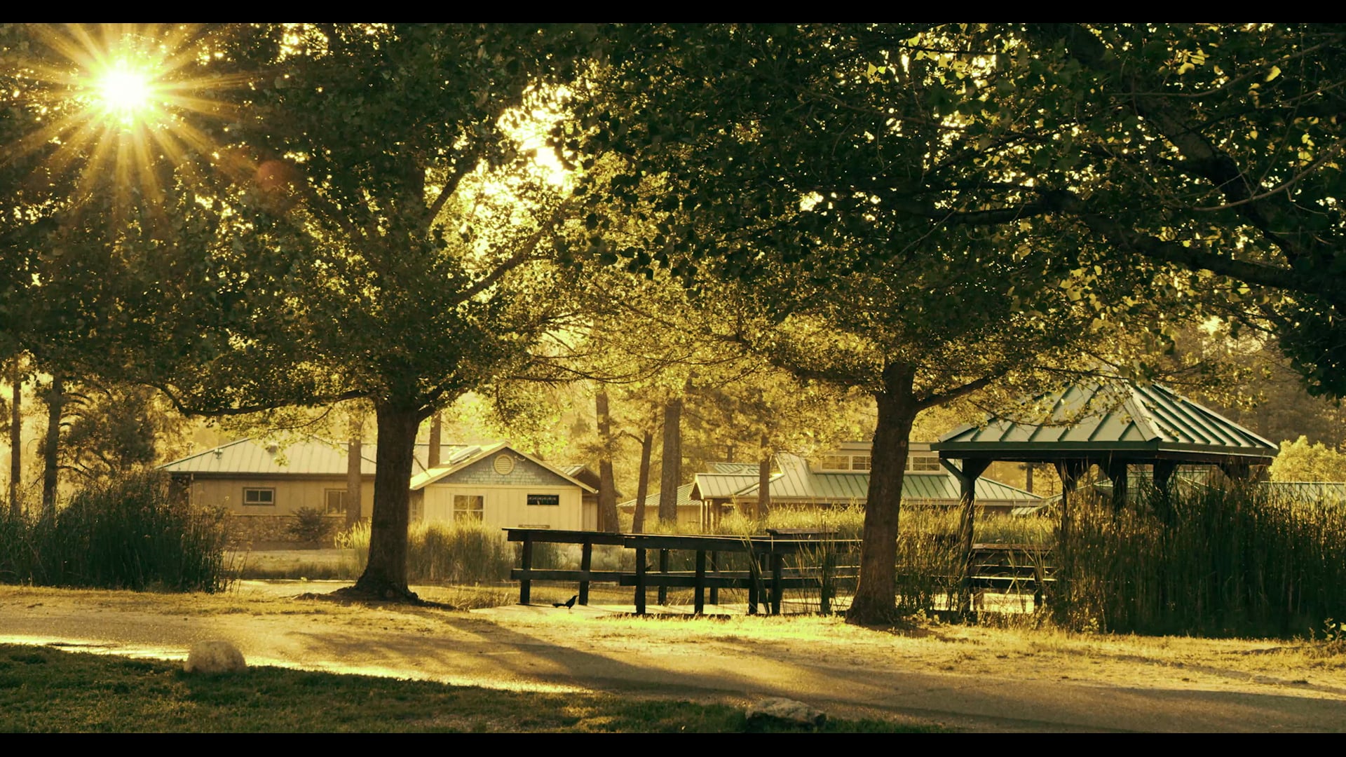 CAMP RONALD MCDONALD - Writer/Director/Producer