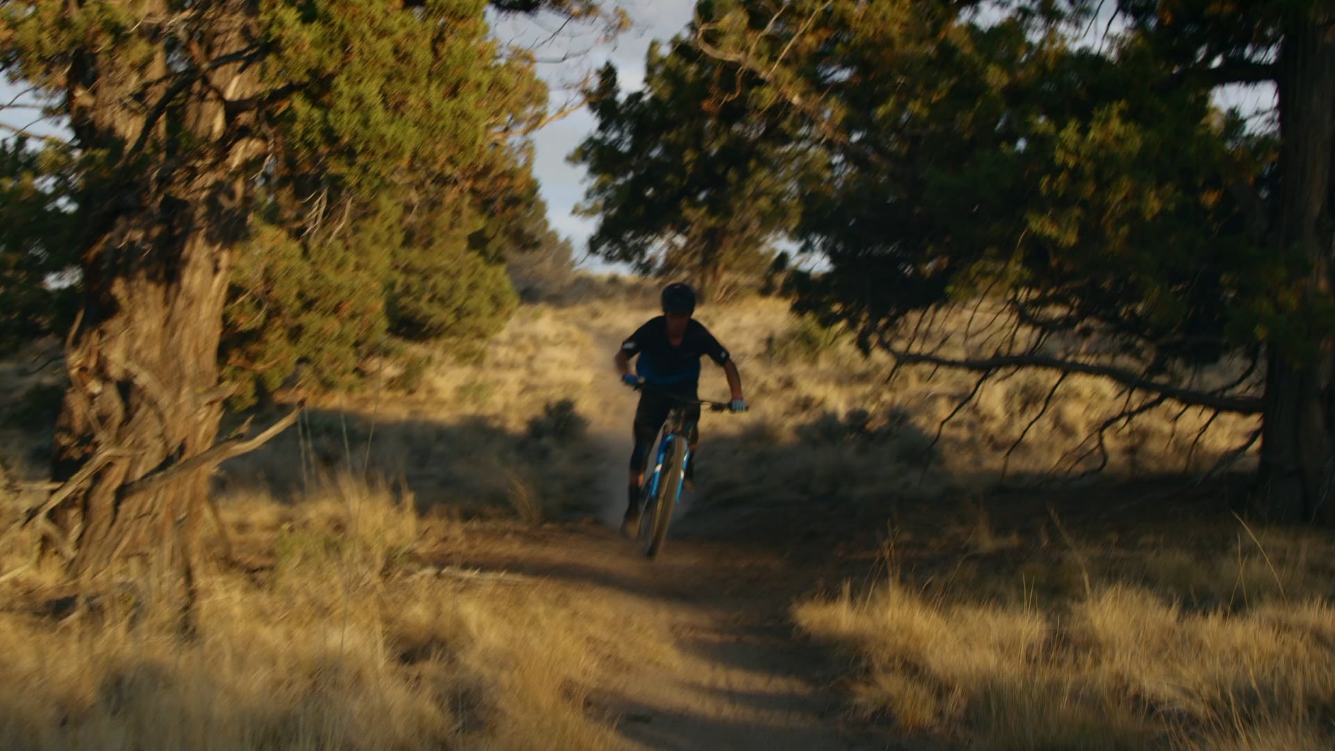 Giant Bicycles | Trance 29