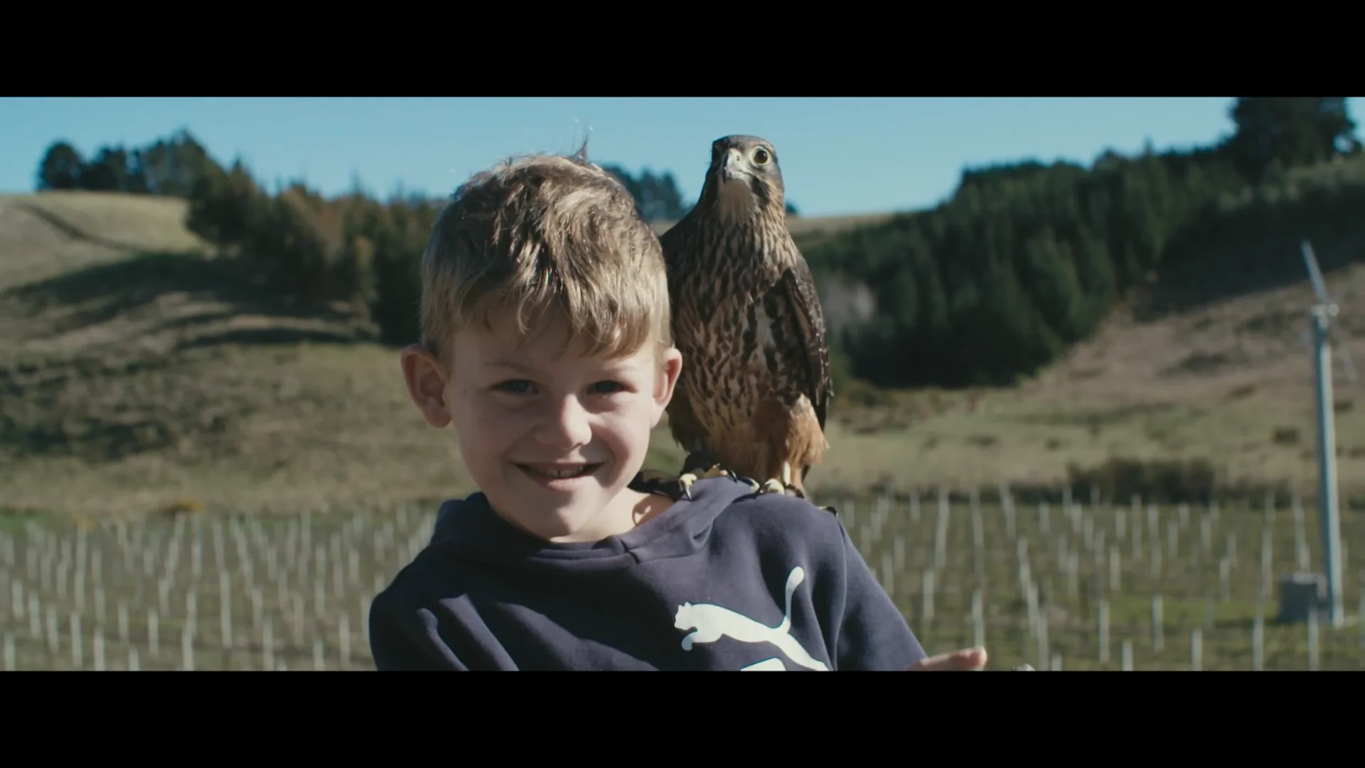 Loading Docs 2018 Films - Kārearea on Vimeo