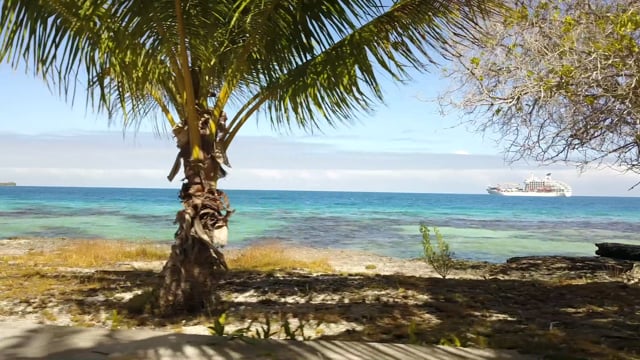 Related Embedded Video Item Thumbnail