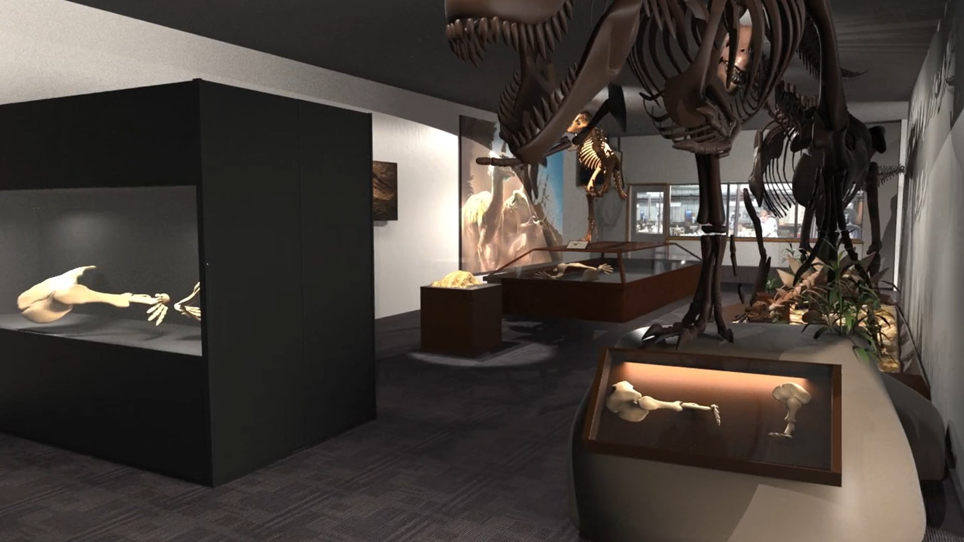 Exhibit Design for BYU Museum of Paleontology