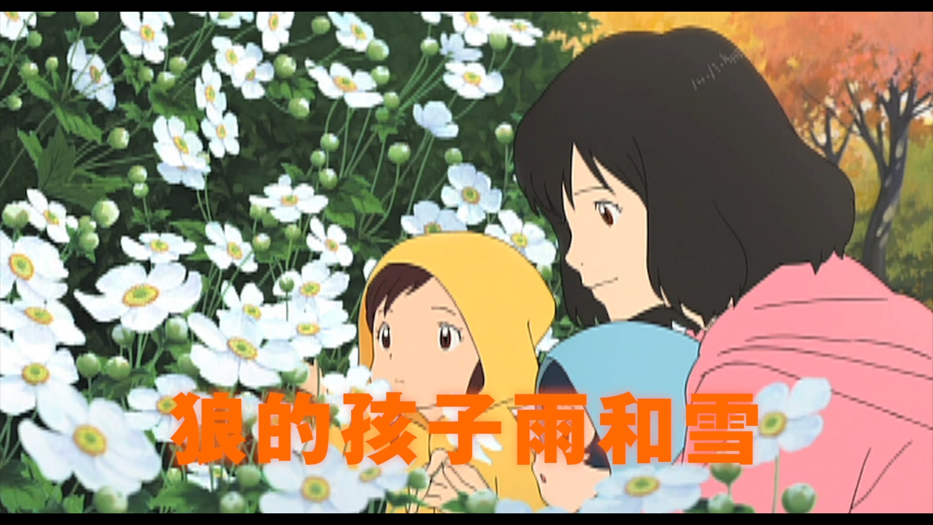 Trailer of Mamoro Hosoda Movie Work