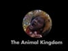 FP-18B-Lila-The-Animal-Kingdom