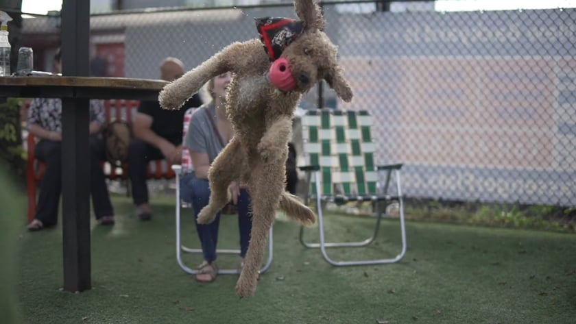 vimeo-video-thumbnail