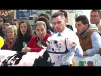 Terneras de 3 a 6 meses