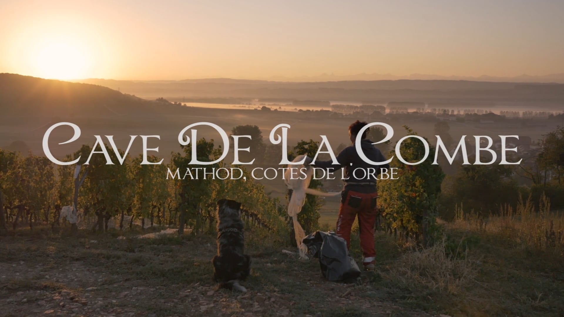 Cave de la Combe