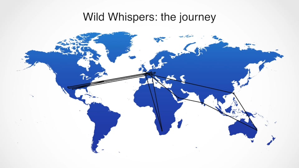 Wild Whispers