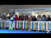 Novillas de 21 a 25 meses