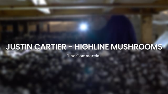 Justin Cartier - Highline Mushrooms