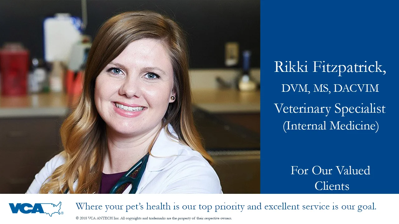 Vca advanced best sale veterinary care center