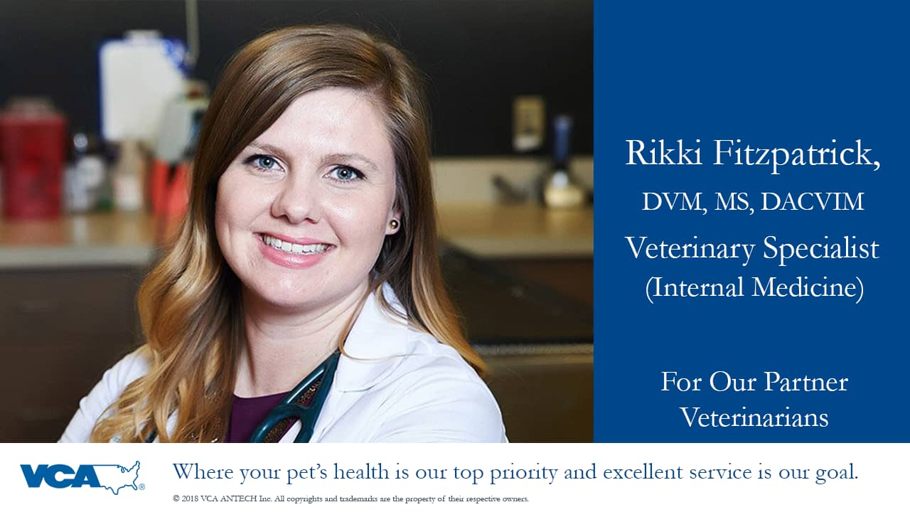 Dr. Rikki Fitzpatrick, VCA Advanced Veterinary Care Center on Vimeo