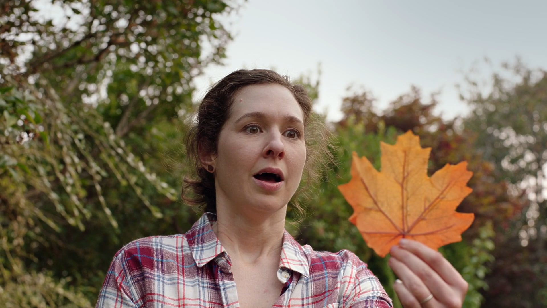 Darigold - Holidays - Anthem :60