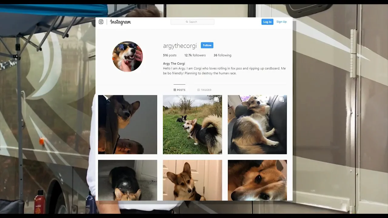 Trying To Watch Show Dogs (2018) on Vimeo