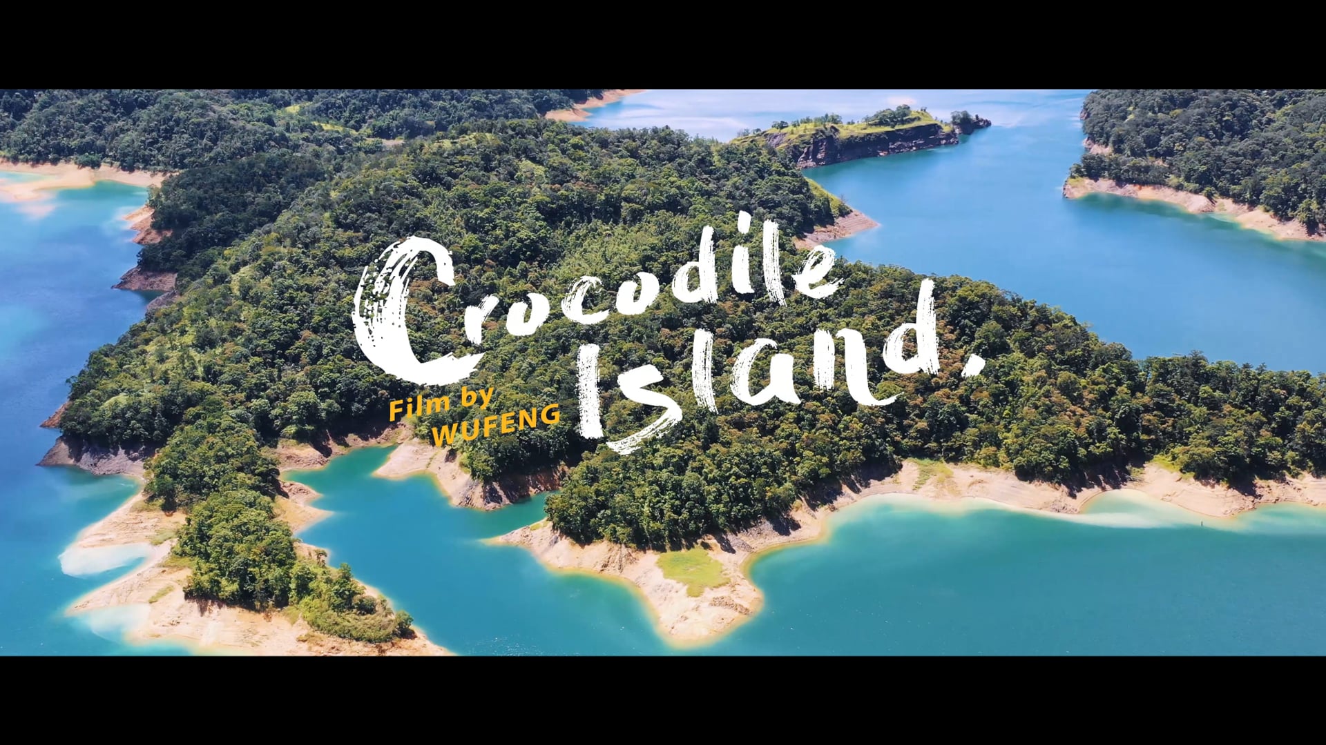 Crocodile Island