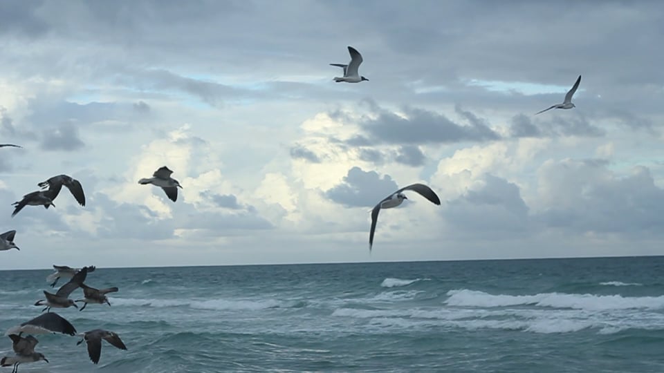 Flying to Nowhere