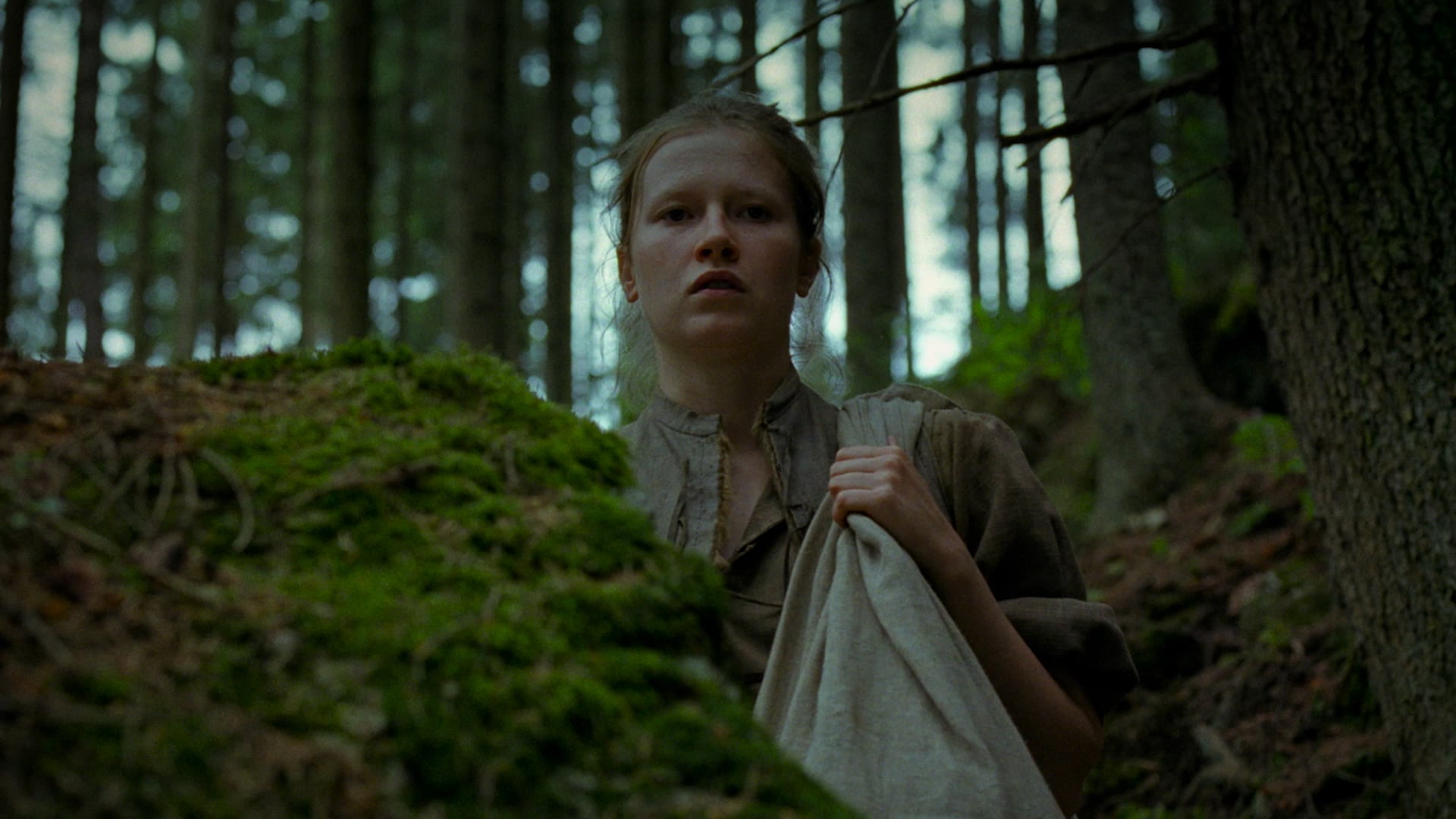 The Field Guide to Evil Trailer