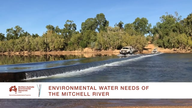 Environmental water needs for the Mitchell River project update (Sept 2018)
