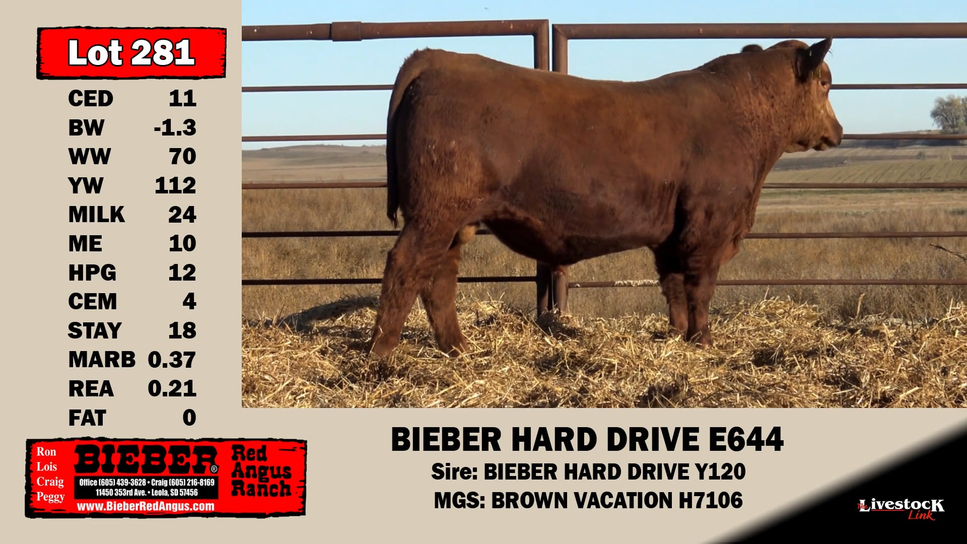 Bieber Red Angus Lot 281 on Vimeo