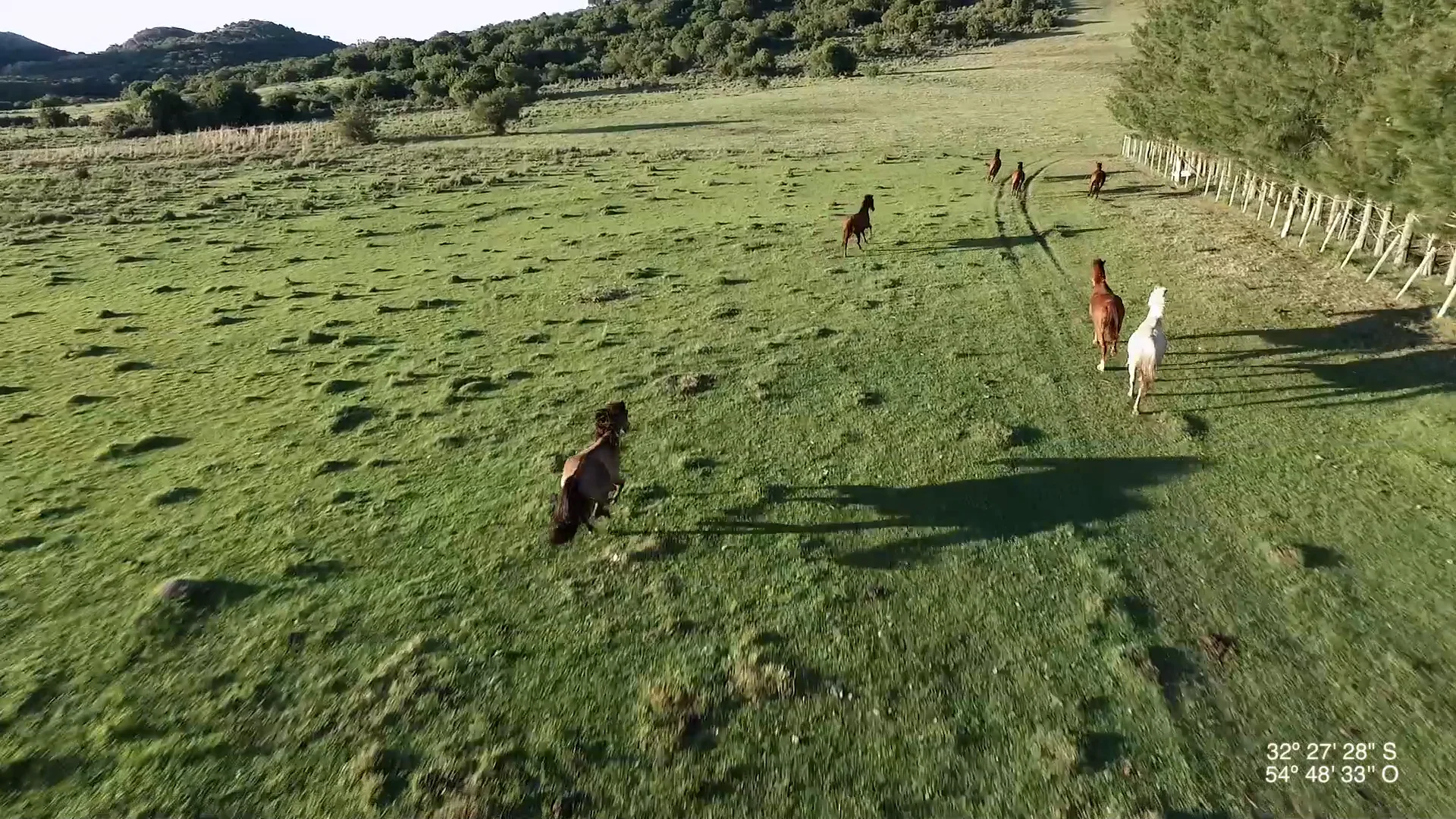 Vimeo produz documentário sobre corrida de motos que já matou mais