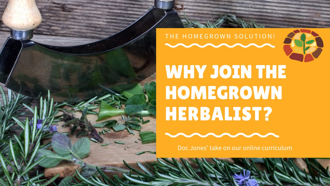 Why Join The HomeGrown Herbalist School?