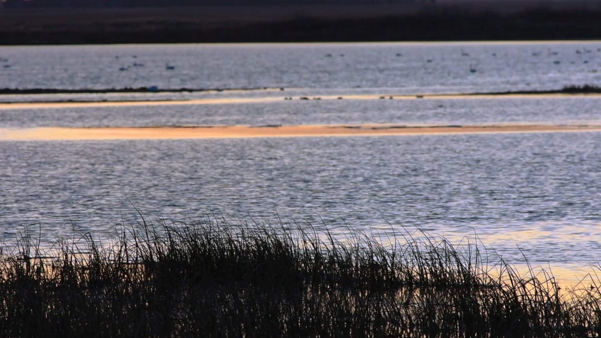 Lake Bertha on Vimeo