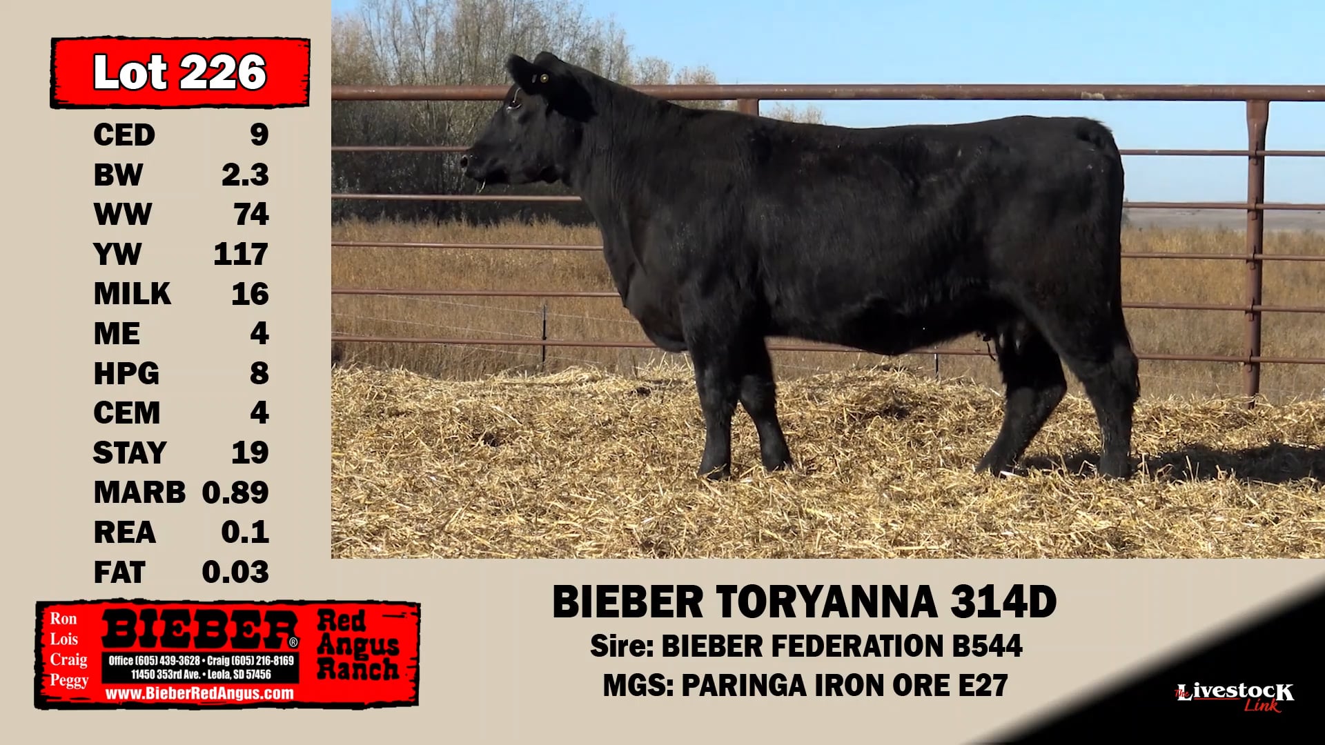 Bieber Red Angus Lot 226 on Vimeo
