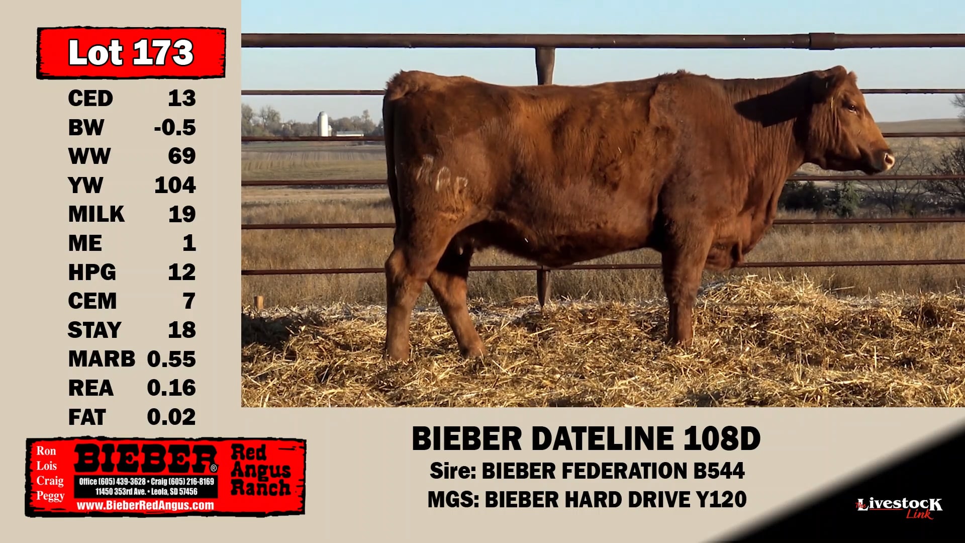 Bieber Red Angus Lot 173 on Vimeo