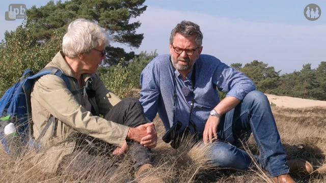 Wekeromse Zand - Annie Munneke