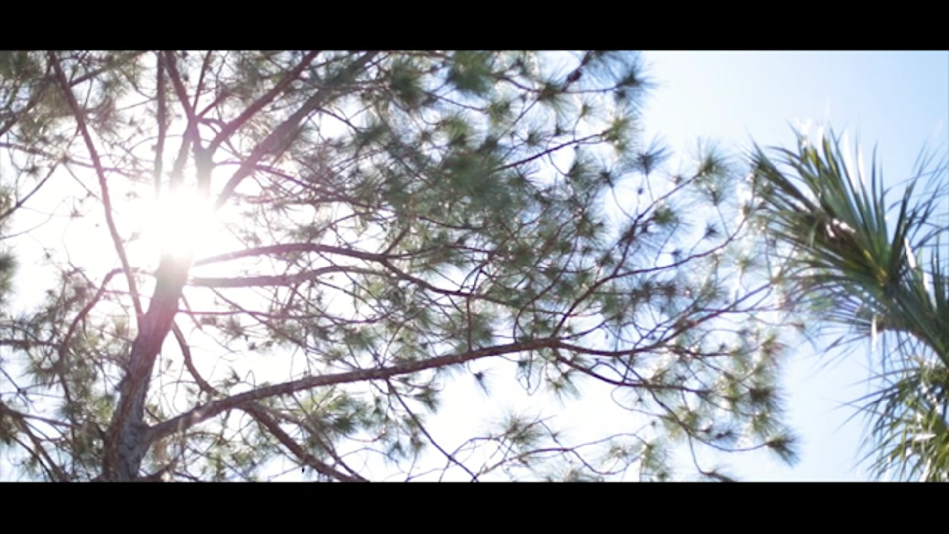 Promotional video thumbnail 5 for R&R Productions