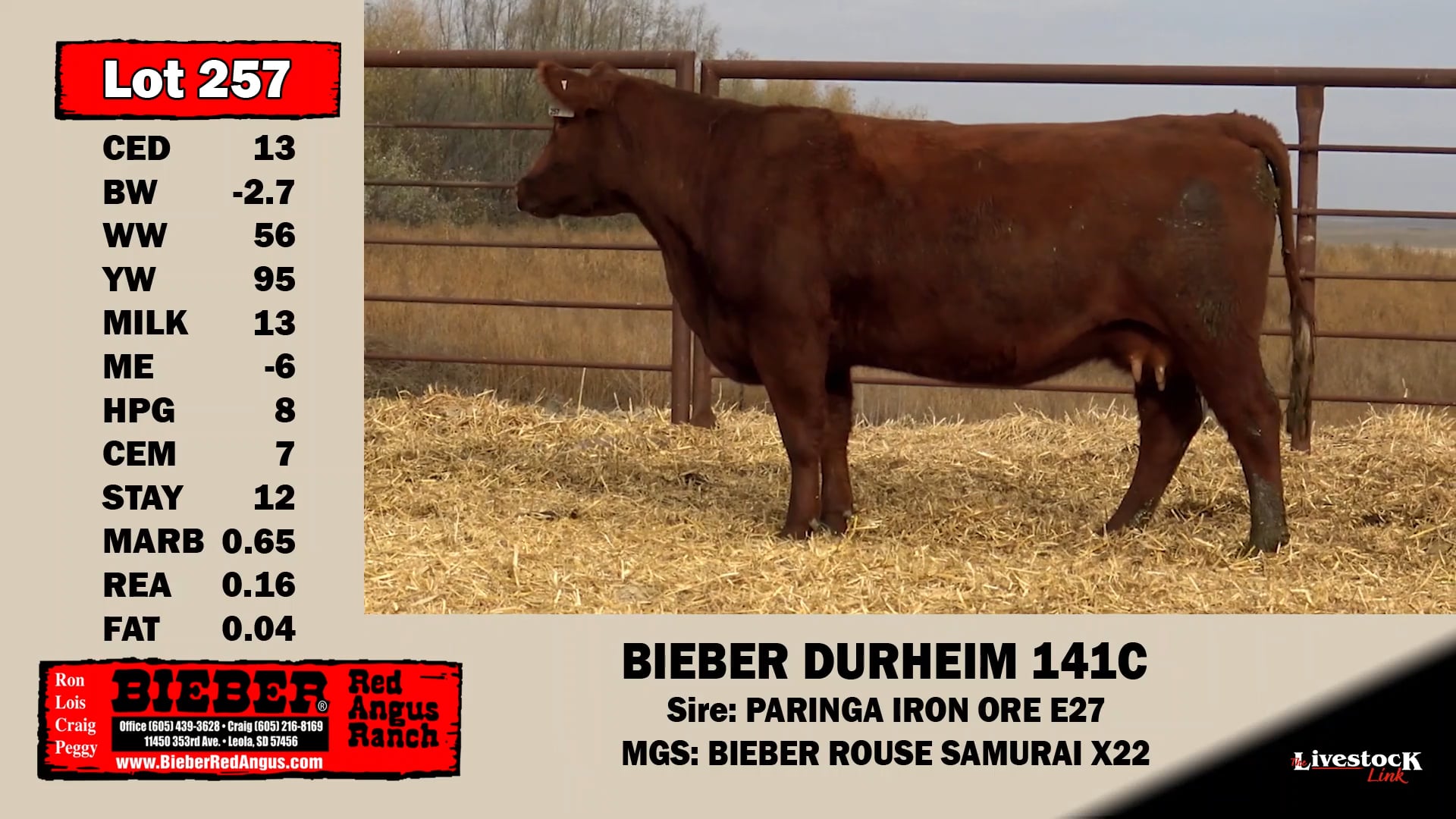 Bieber Red Angus Lot 257 on Vimeo
