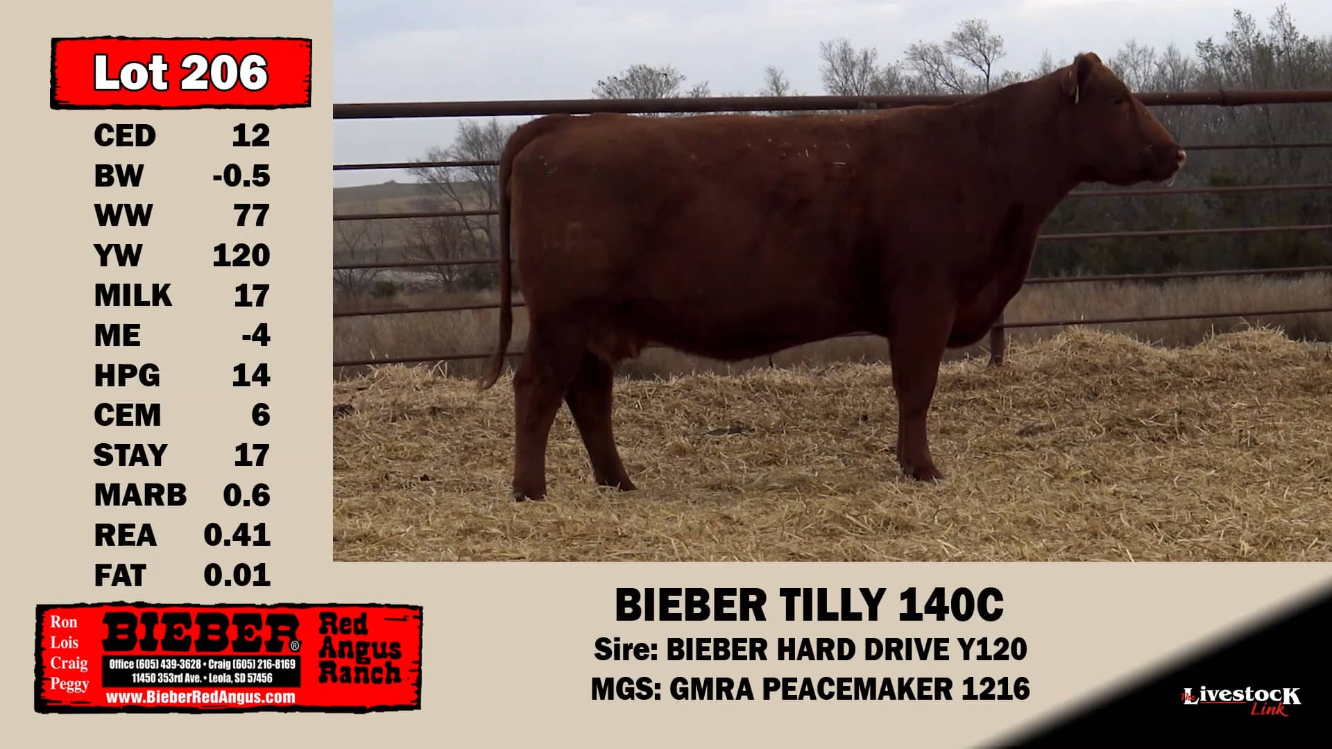 Bieber Red Angus Lot 206 on Vimeo