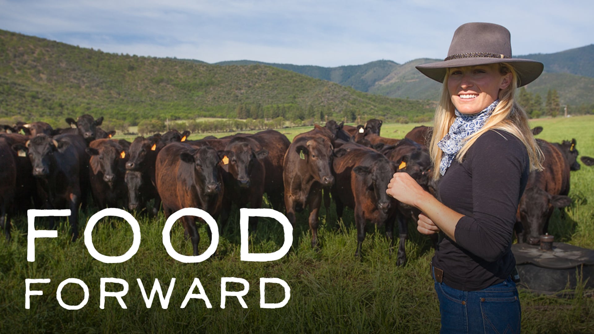 Food Forward Series