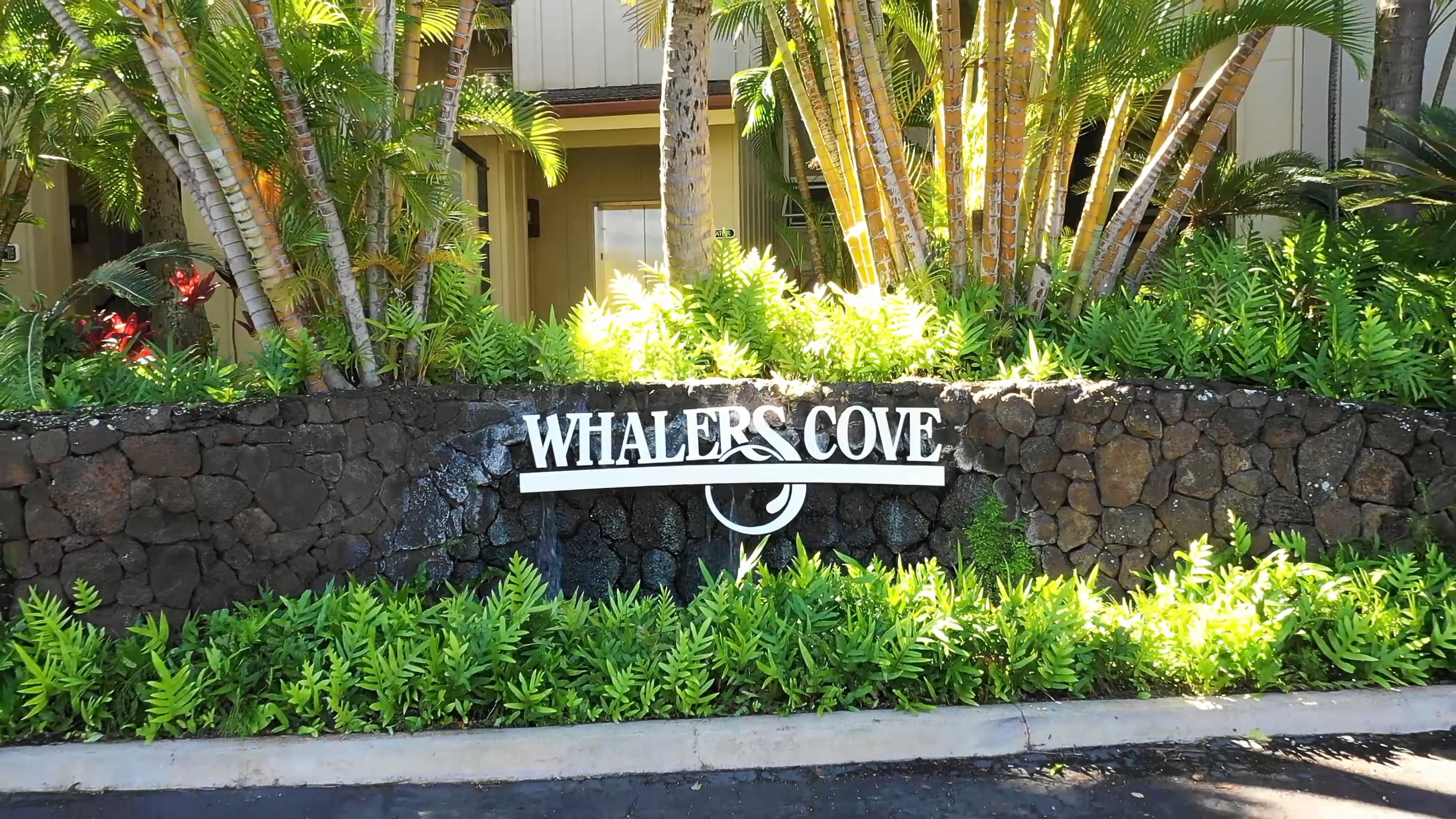 Whalers Cove on Vimeo