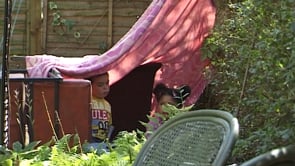 In the den thumbnail