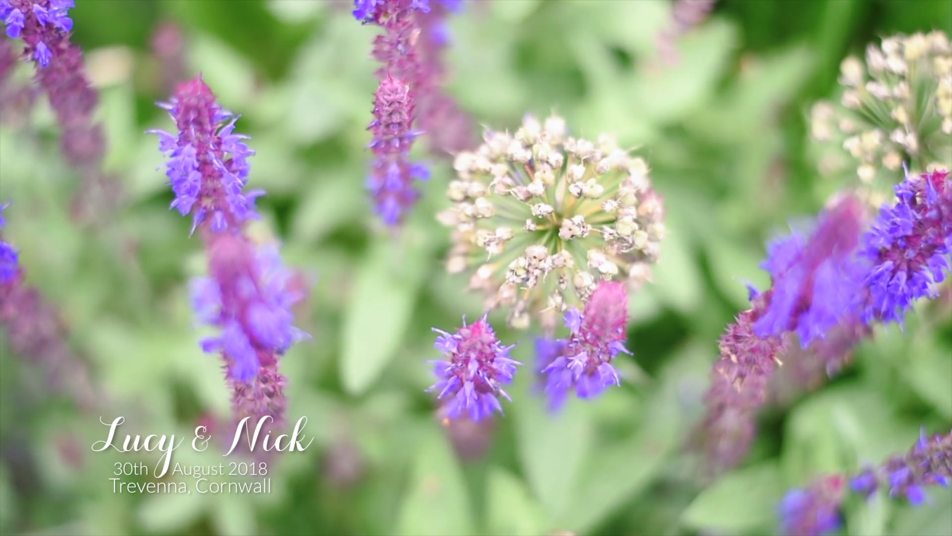 Lucy & Nick - Trevenna, Cornwall