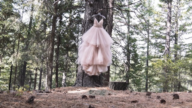 Iron Horse Unlimited - Mount Shasta, California #1