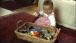 Watch Baby plays with basket of objects